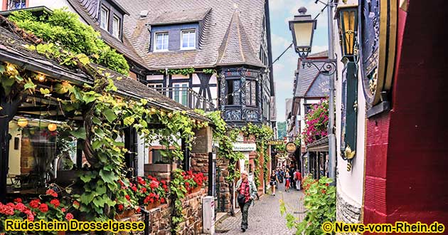 Stadtfhrungen in Rdesheim am Rhein fhren meist durch die Drosselgasse